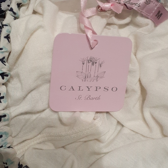 Cylipose St Bartz NWTspecial occasion summer dress - Picture 5 of 5